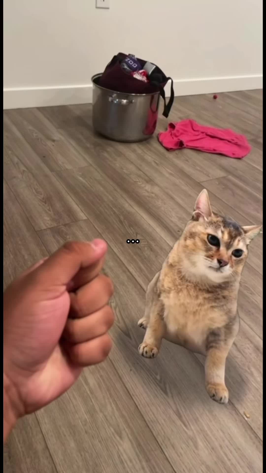 @Vani