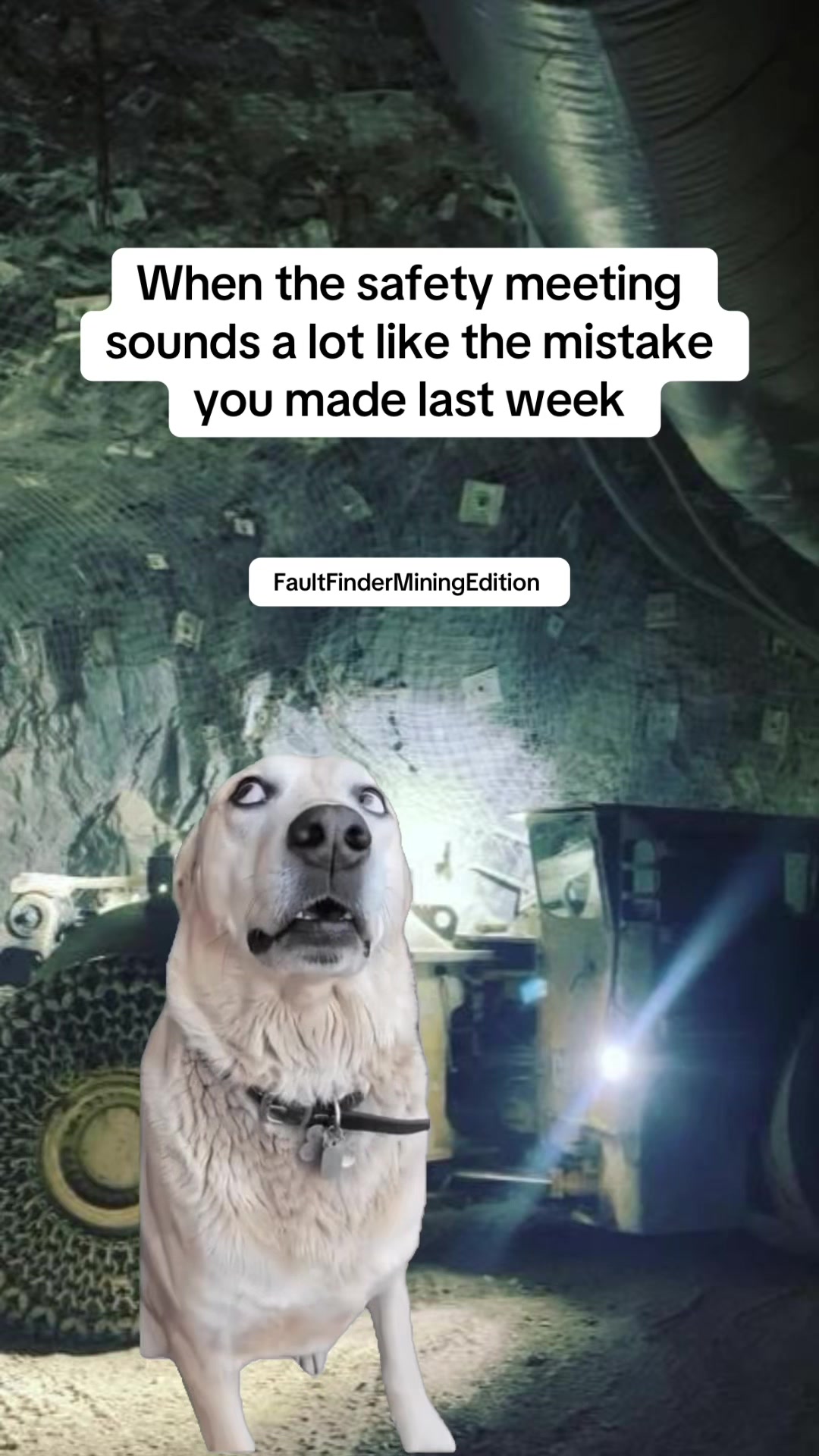 @faultfinder