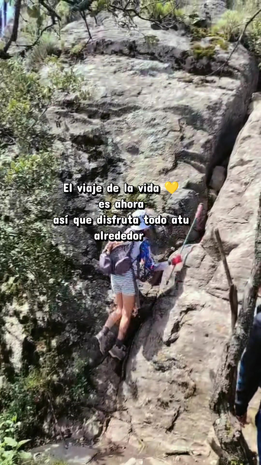 @Nochipa