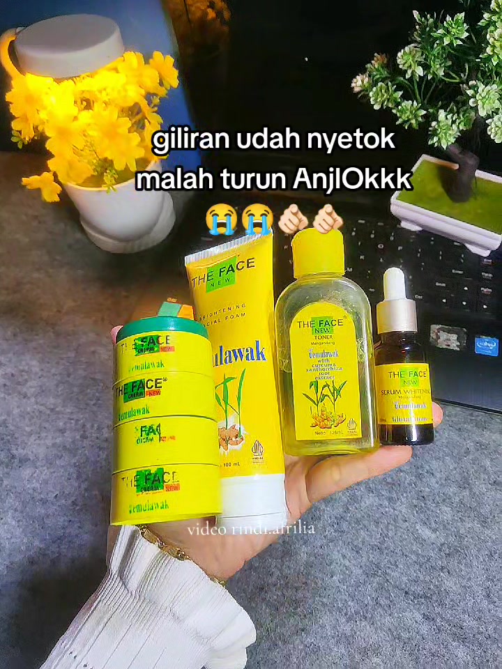 @Rindi Afrilia𝜗𝜚✨