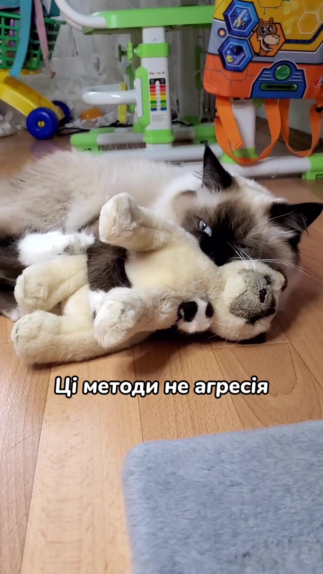 @Місс КІСЯ
