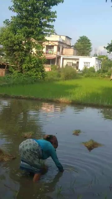 @Krisala Pariyar