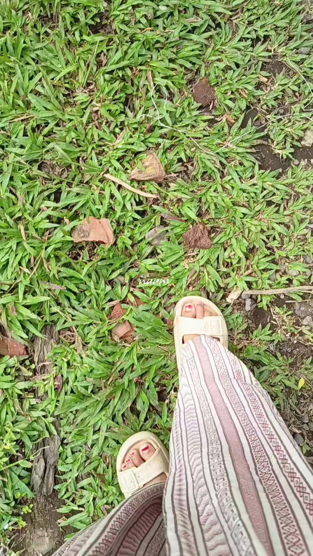 @⋆.˚🦋༘⋆𝓝𝓾𝓾𝓶˚.🎀༘⋆