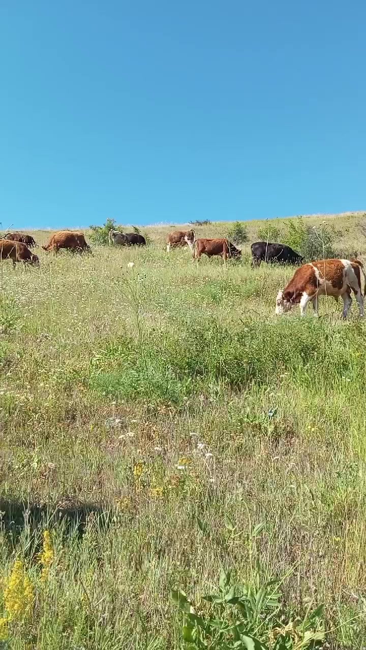 @murat coşkun