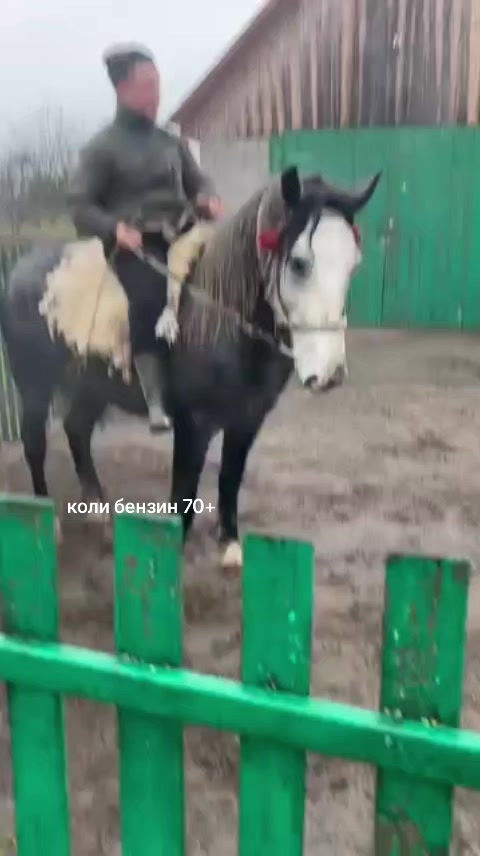@parhommiha20