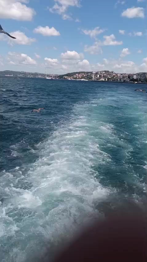 @✨ASİ KADIN✨