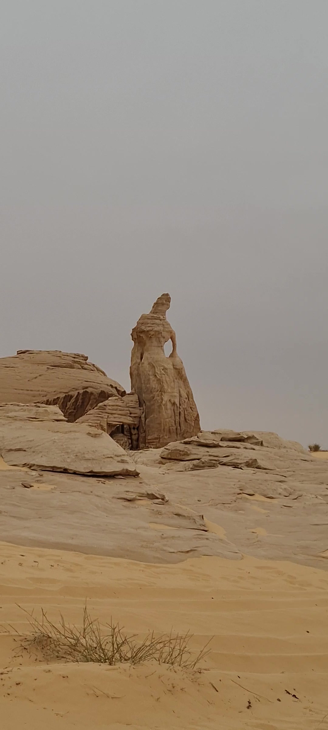 @userعبدالله العزام