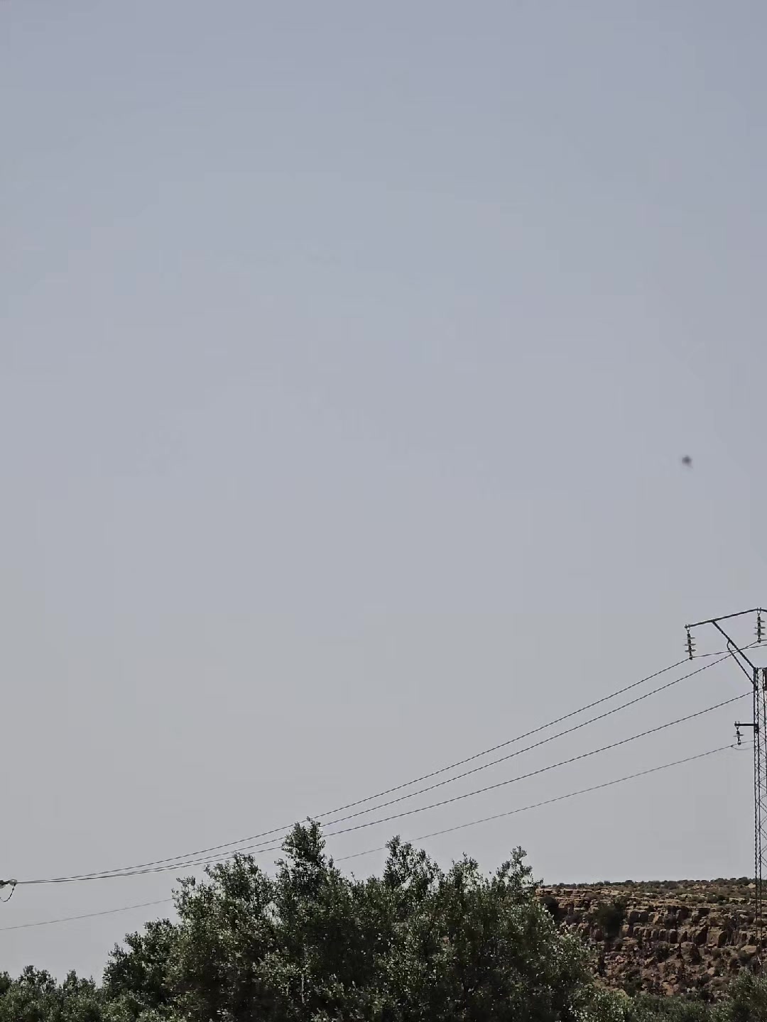 @Hama Farjallah 