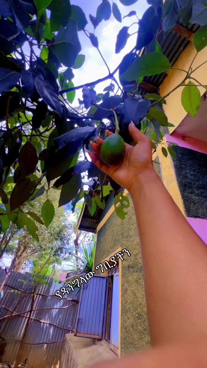 @soliyna12