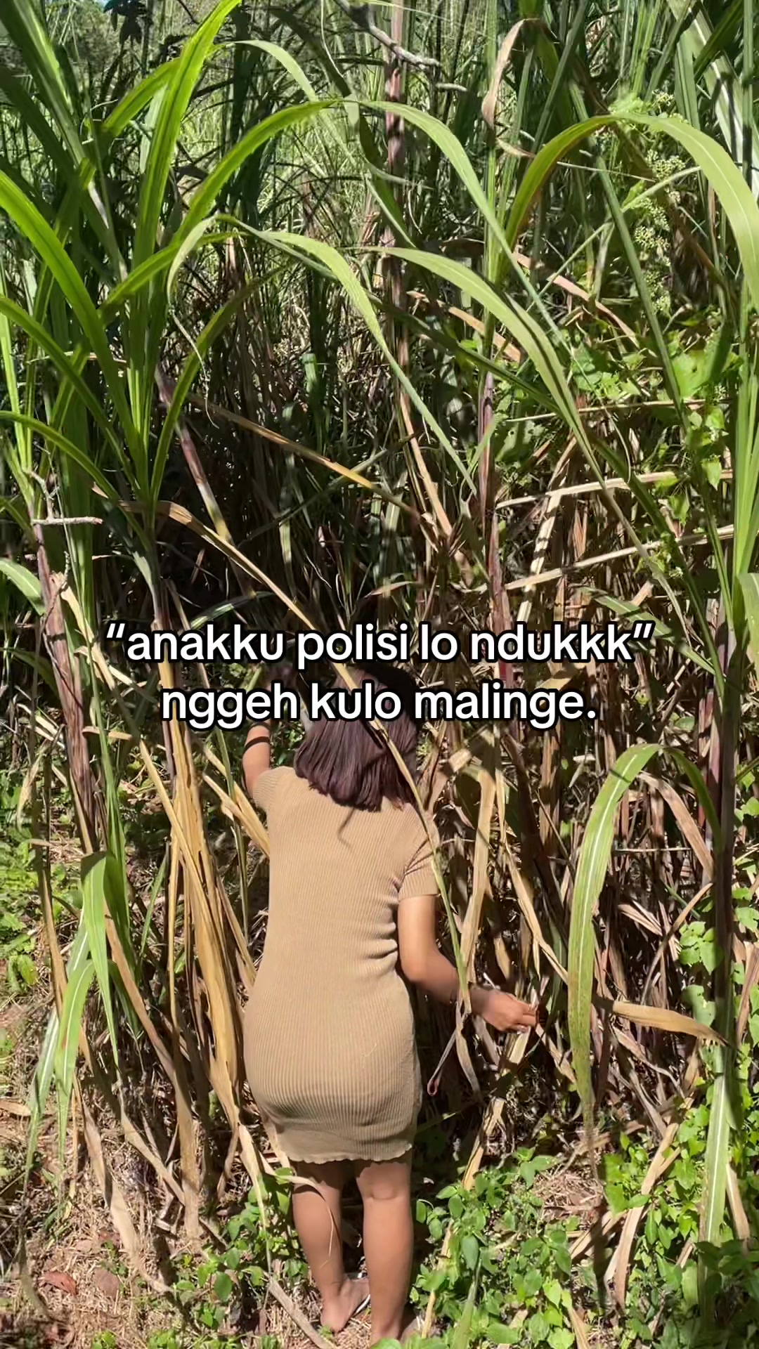 @ociyyy