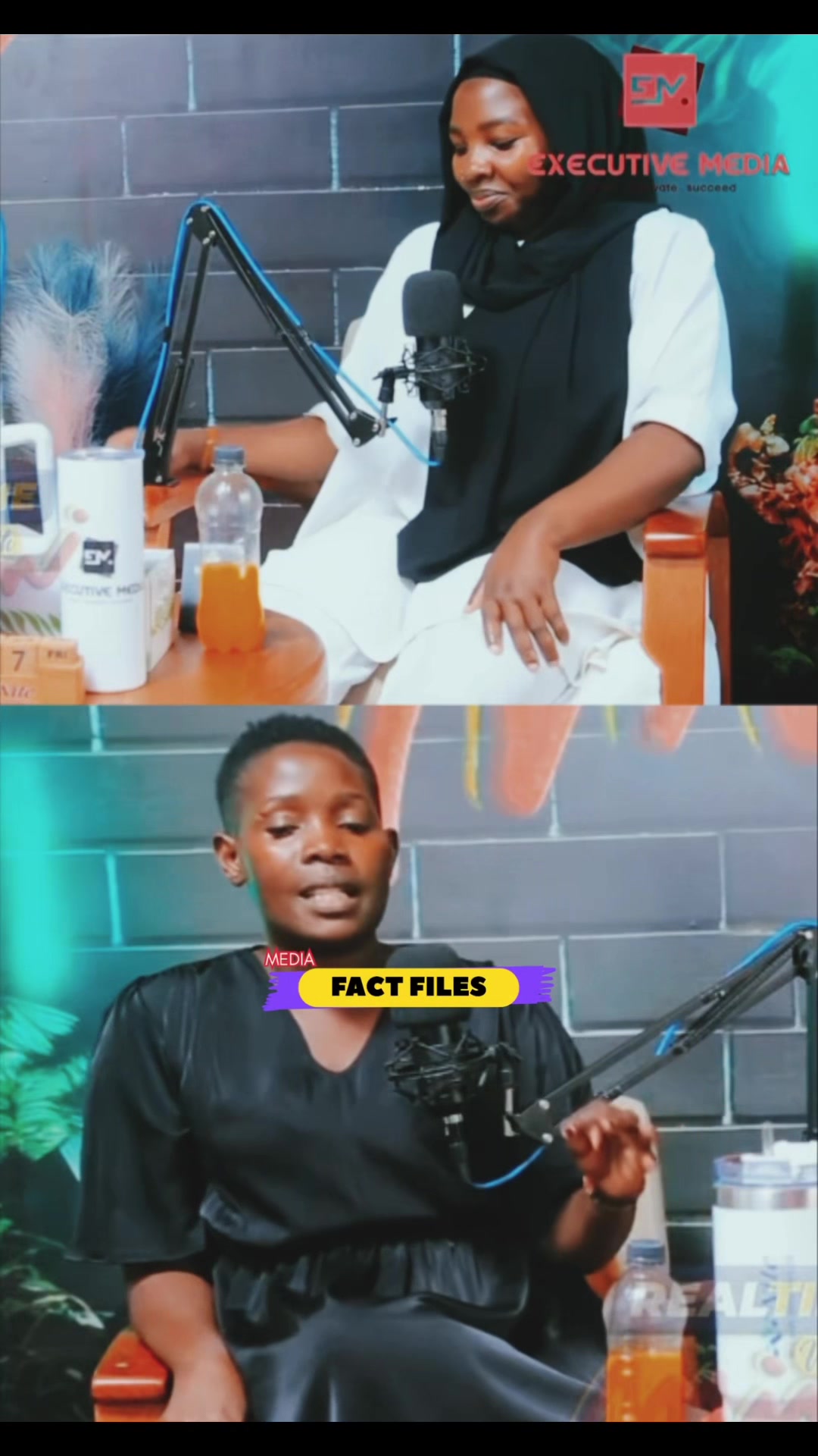 @FactFilesMedia