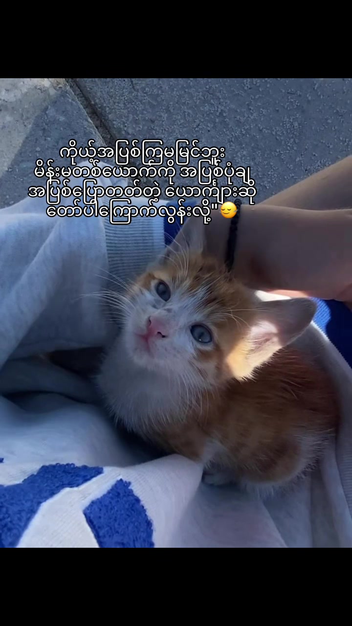 @𝐊𝐢𝐫𝐚 (ကီရာ)🔥