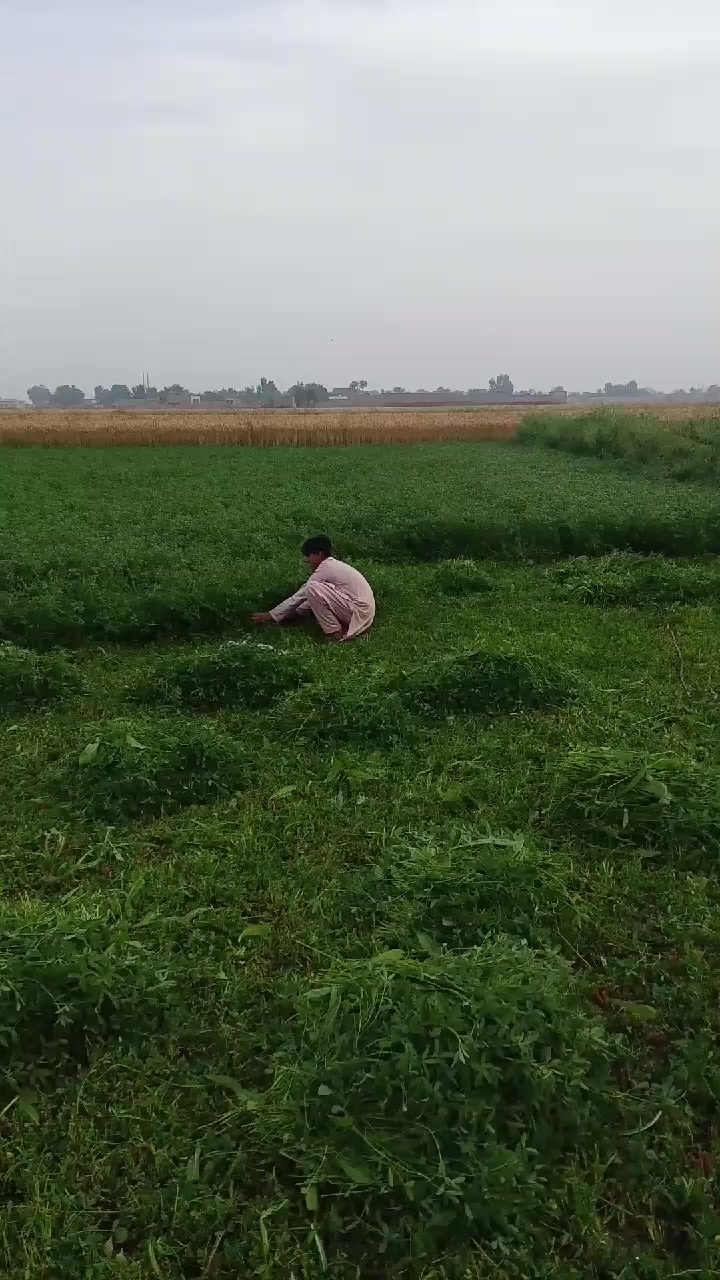 @khizargujjar7709