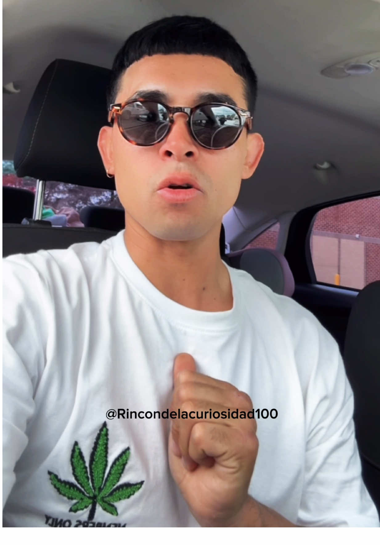 @Rinc&oacute;n de la Curiosidad 100