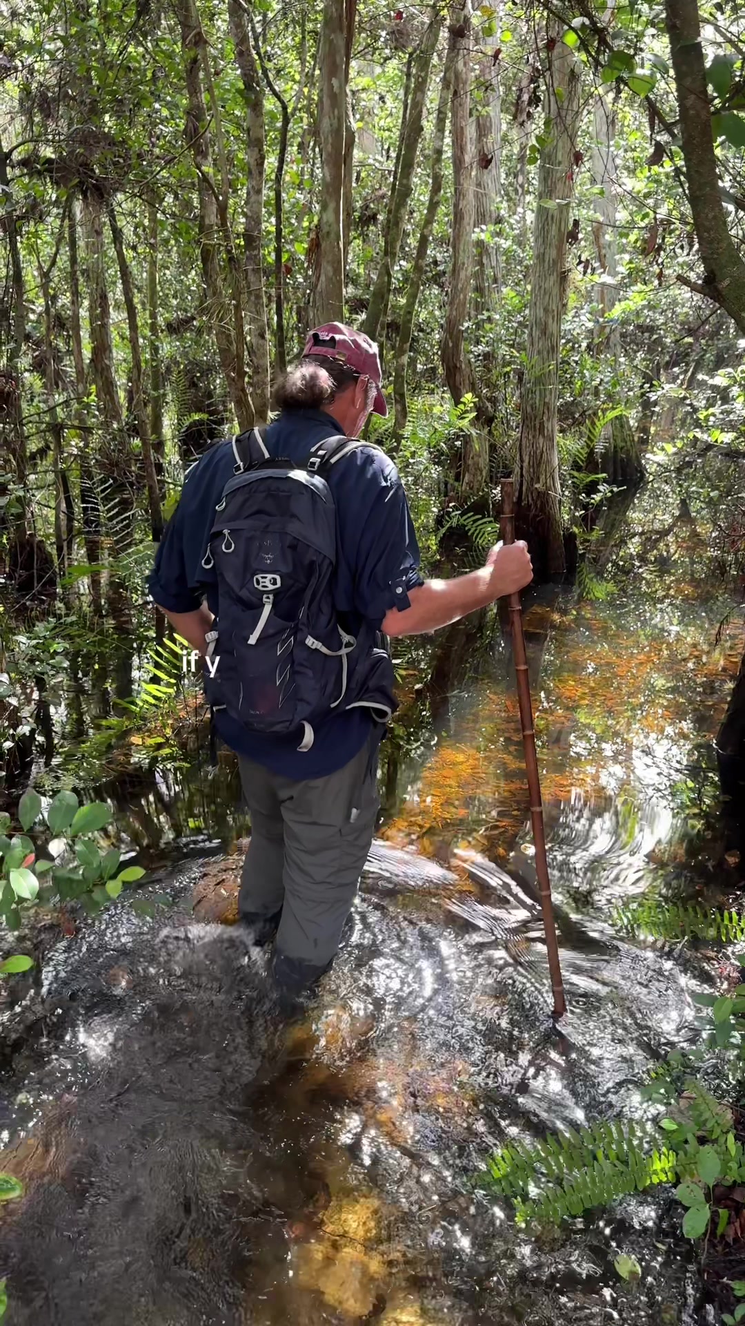 @FLSwimPaddleHike