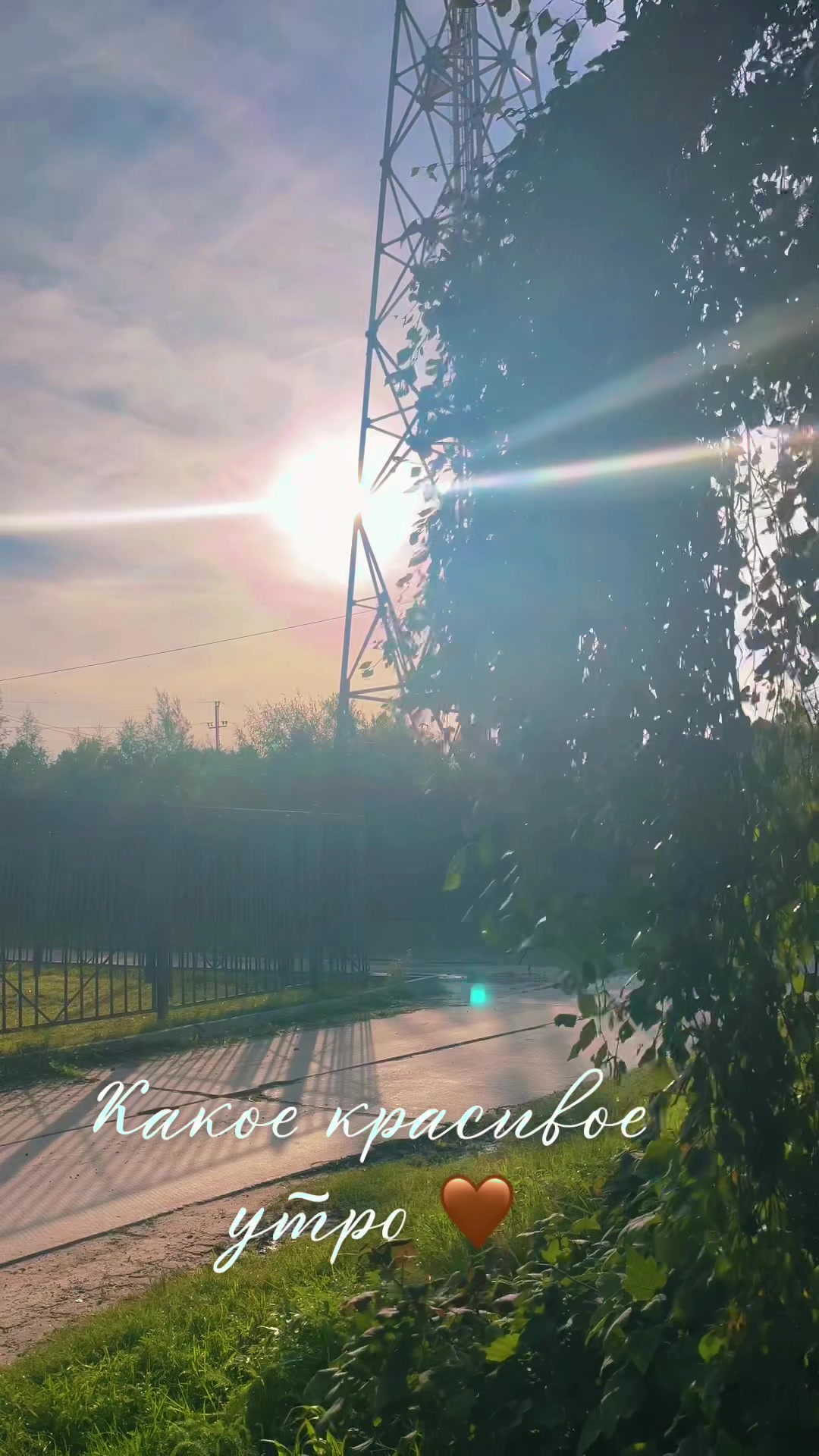 @Анастасия Филатова