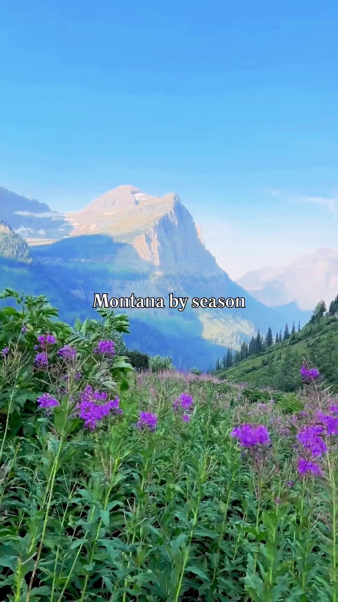 @montanamattproperties