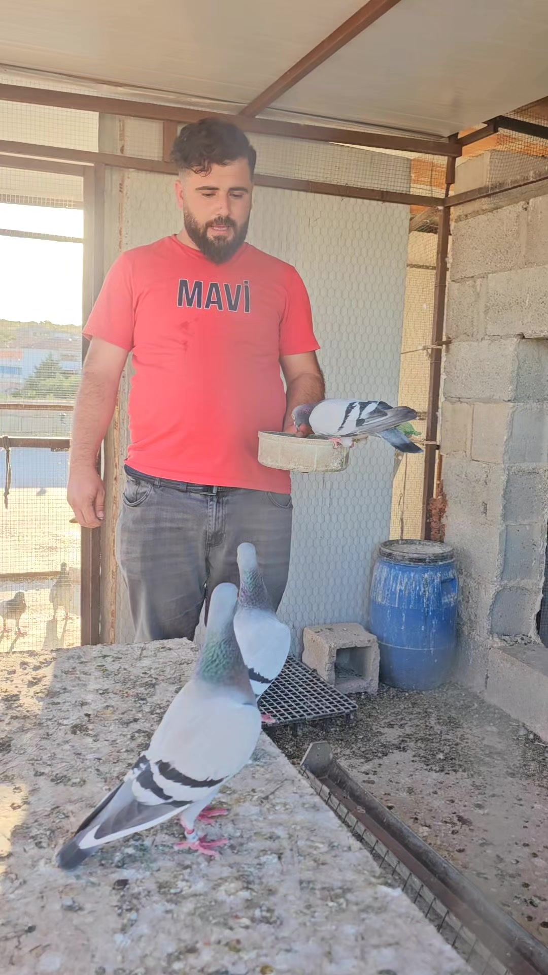 @MEHMET ÇOBAN ( PEŞTO )