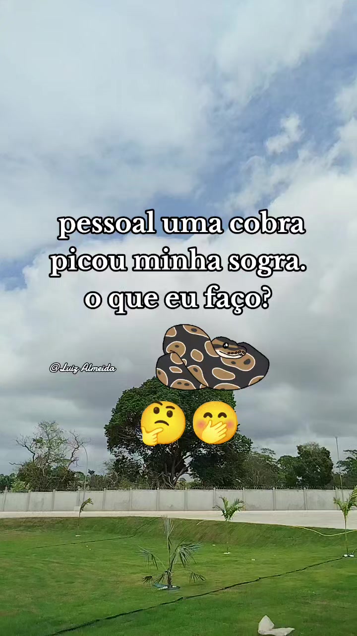 @luiz
