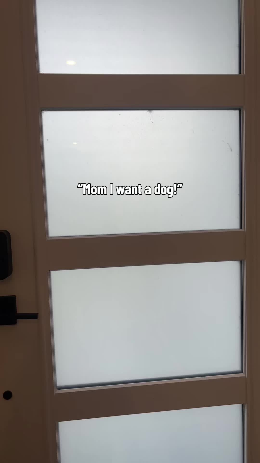 @lifewith2huskies