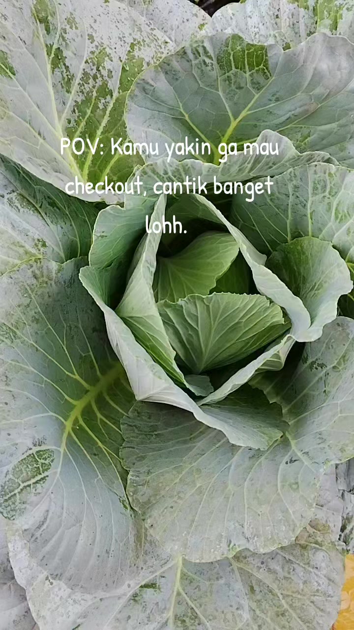 @Rastridd