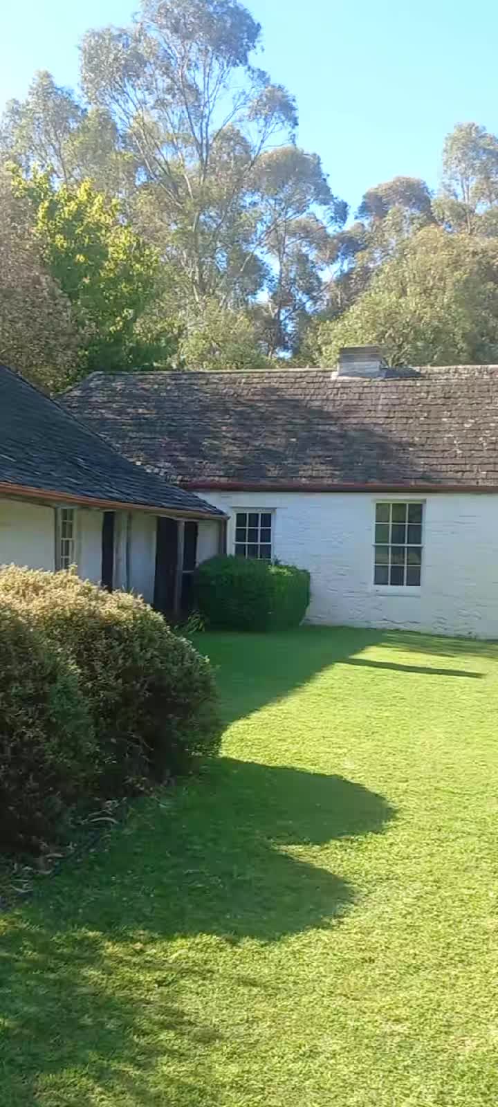 @Emu bottom homestead