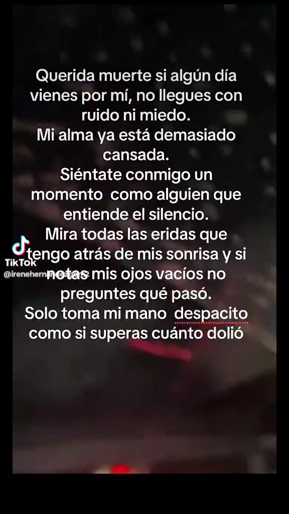 @Seve✨🩷
