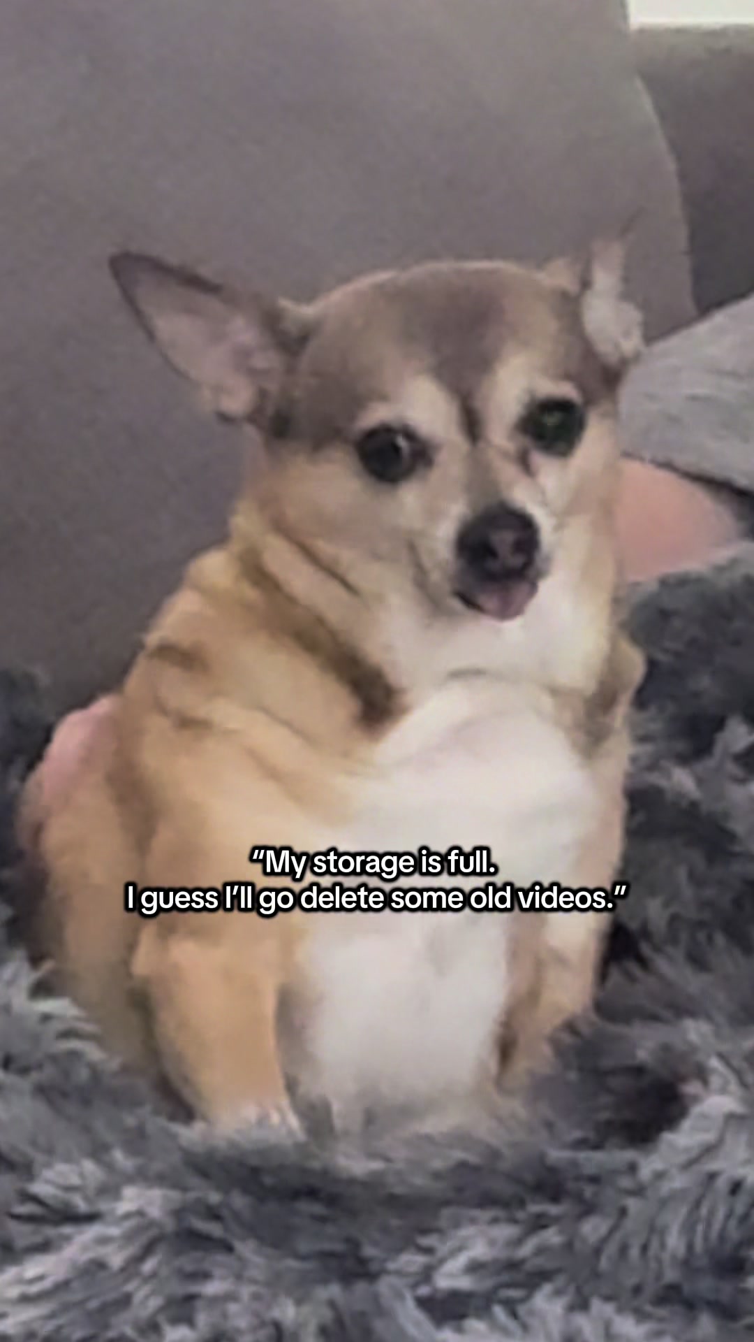 @Charlotte