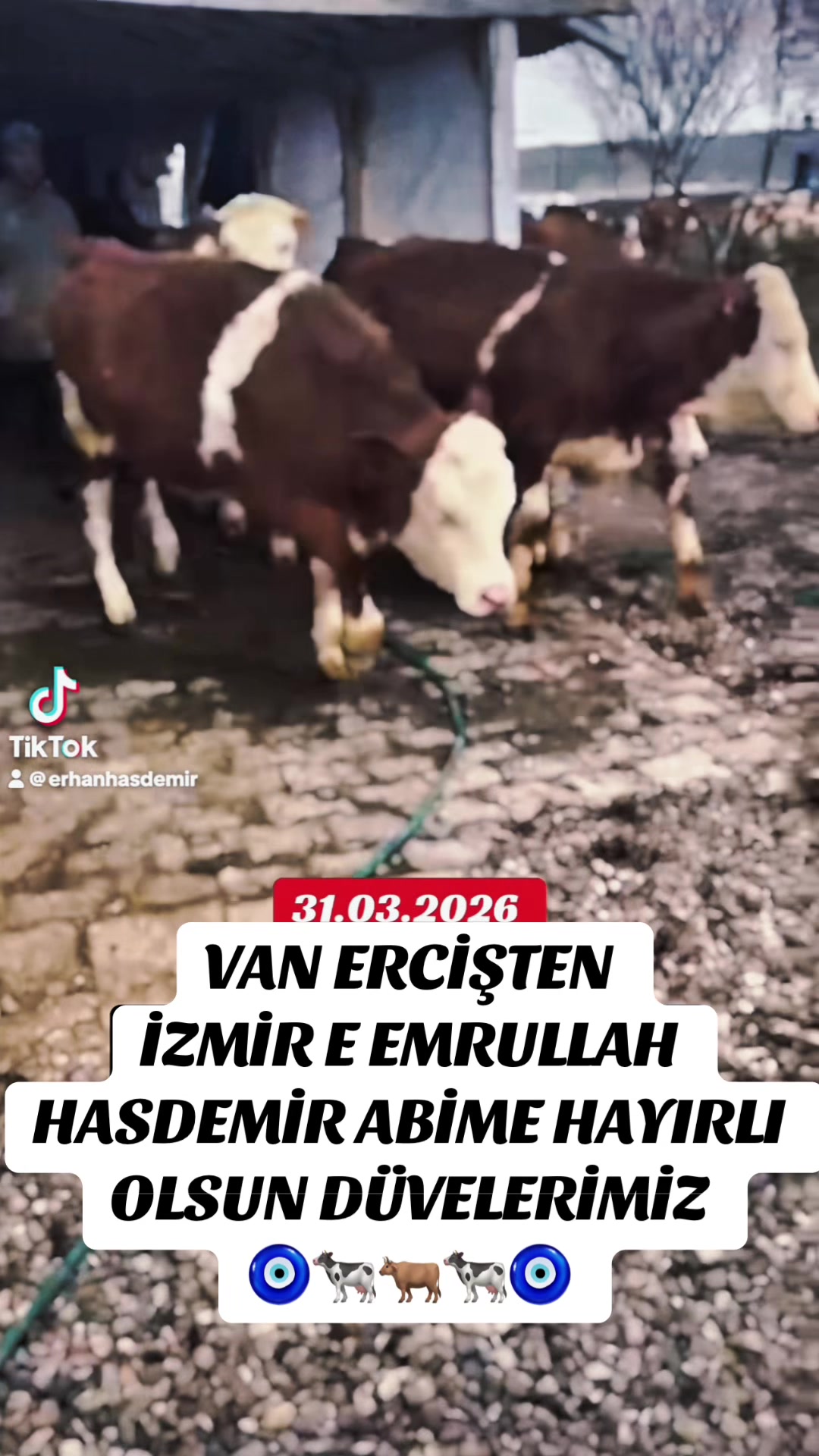 @Erhan Hasdemir