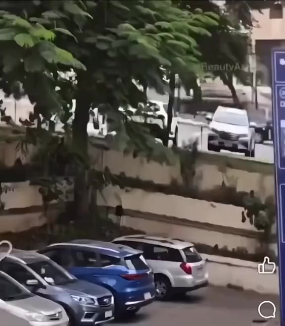 @晃晃悠悠