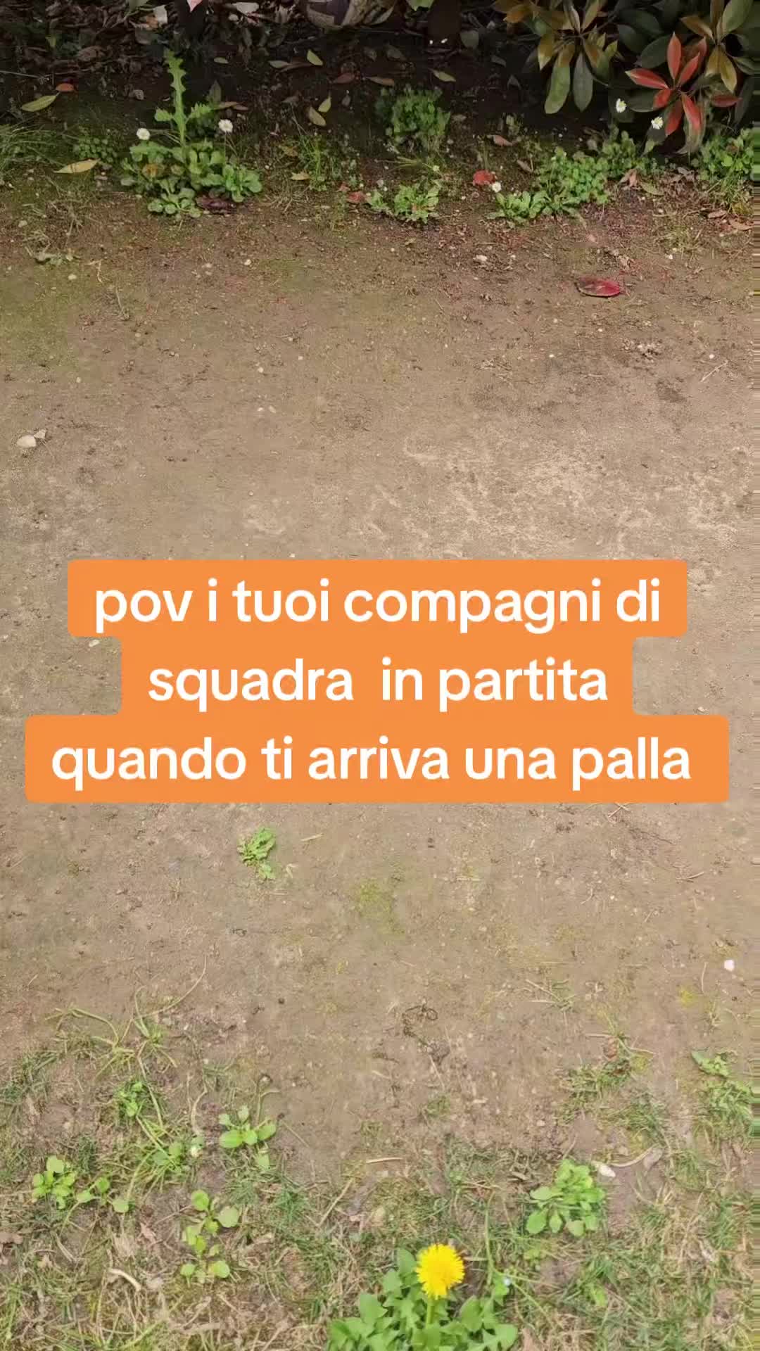 @ciao sono calcio.news7