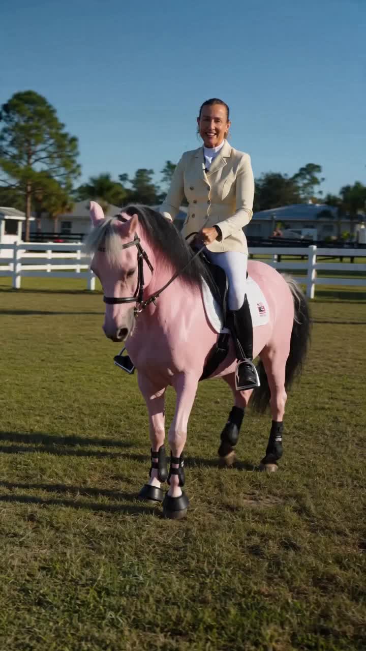 @DressageHub
