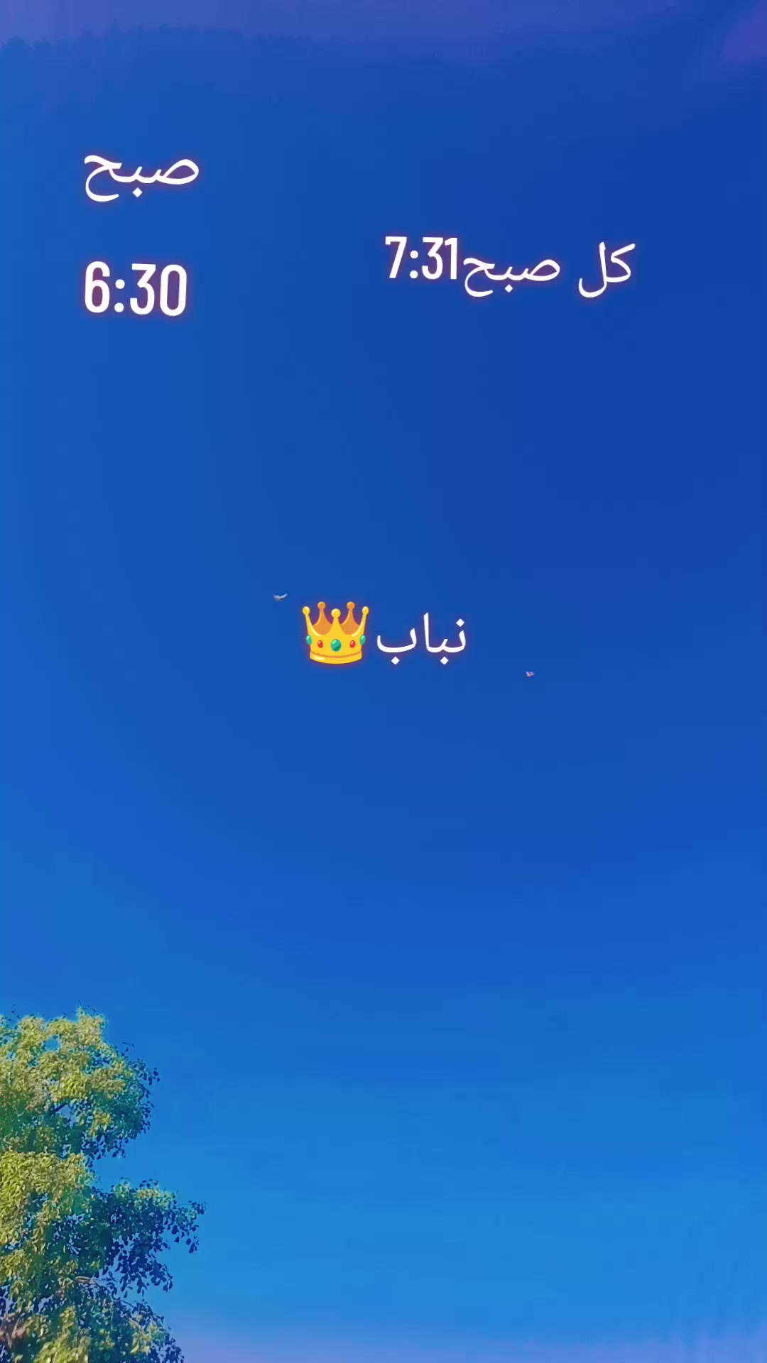 @Waqas Rajput