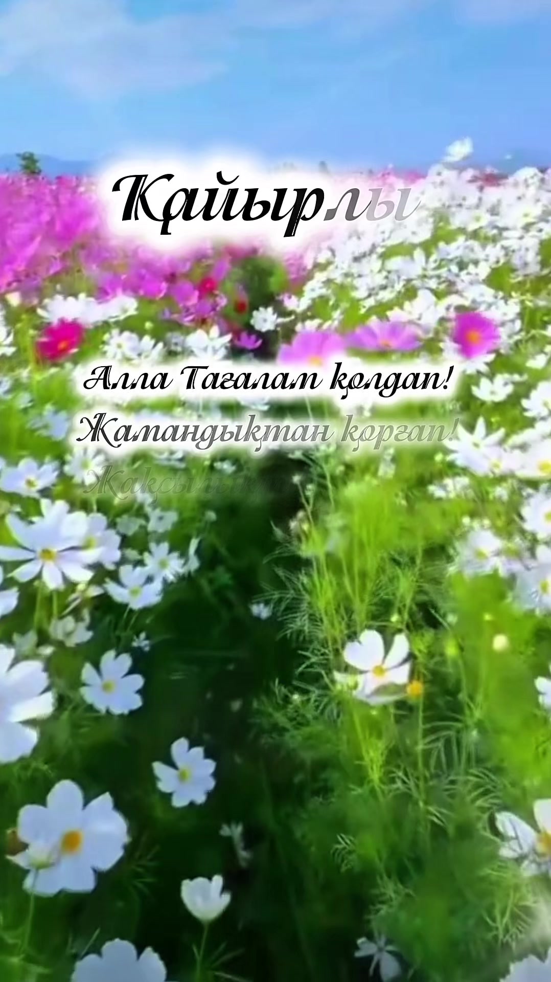 @aray_dinasil