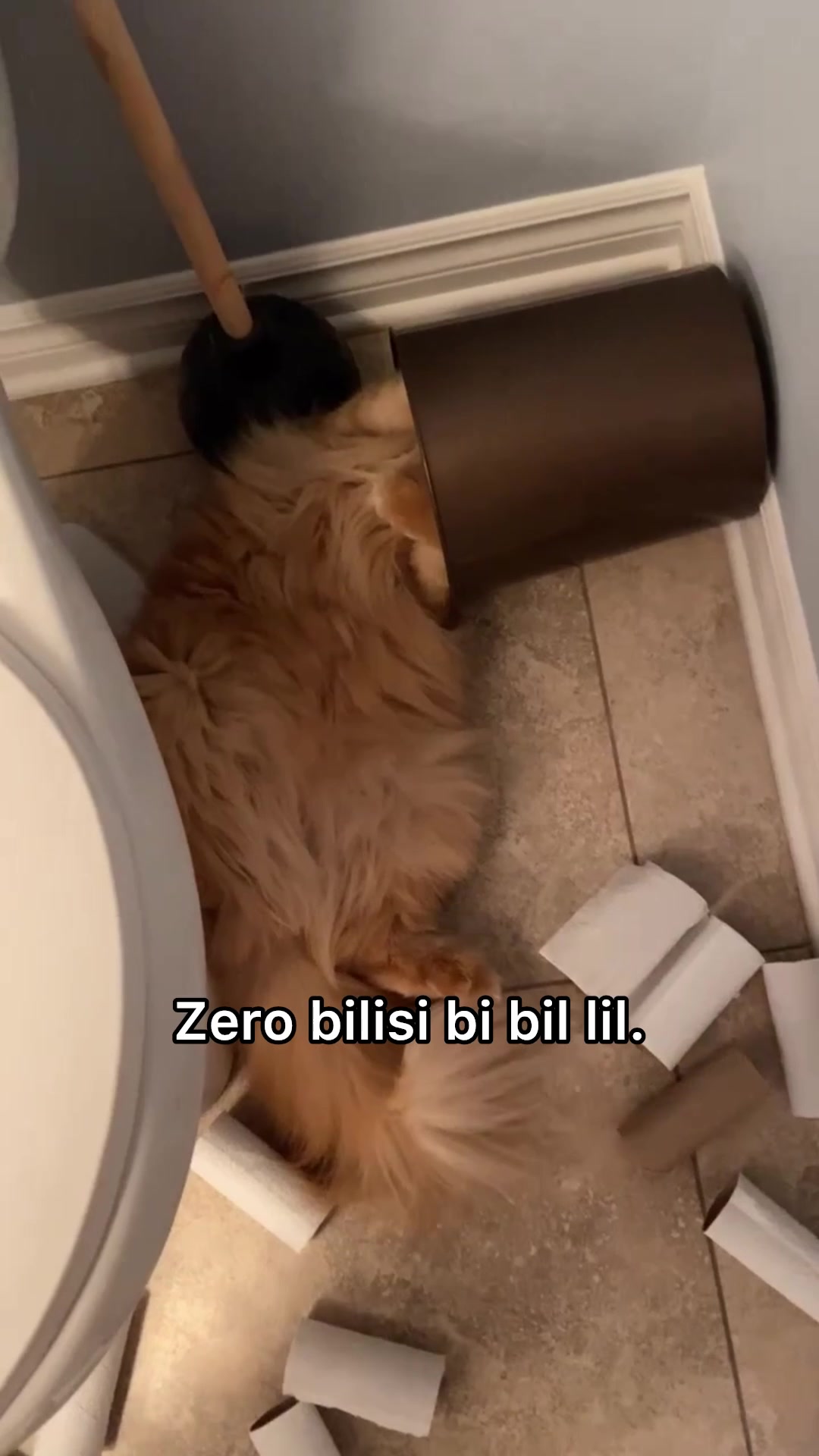 @The Oreo Cat