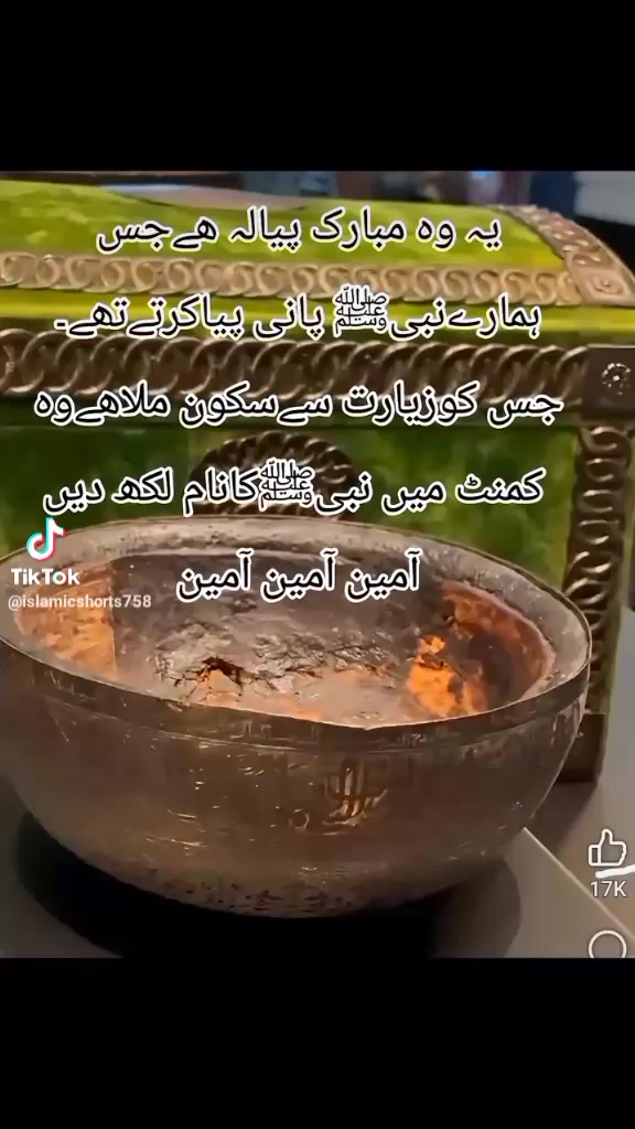 @Musa Bhai 👑