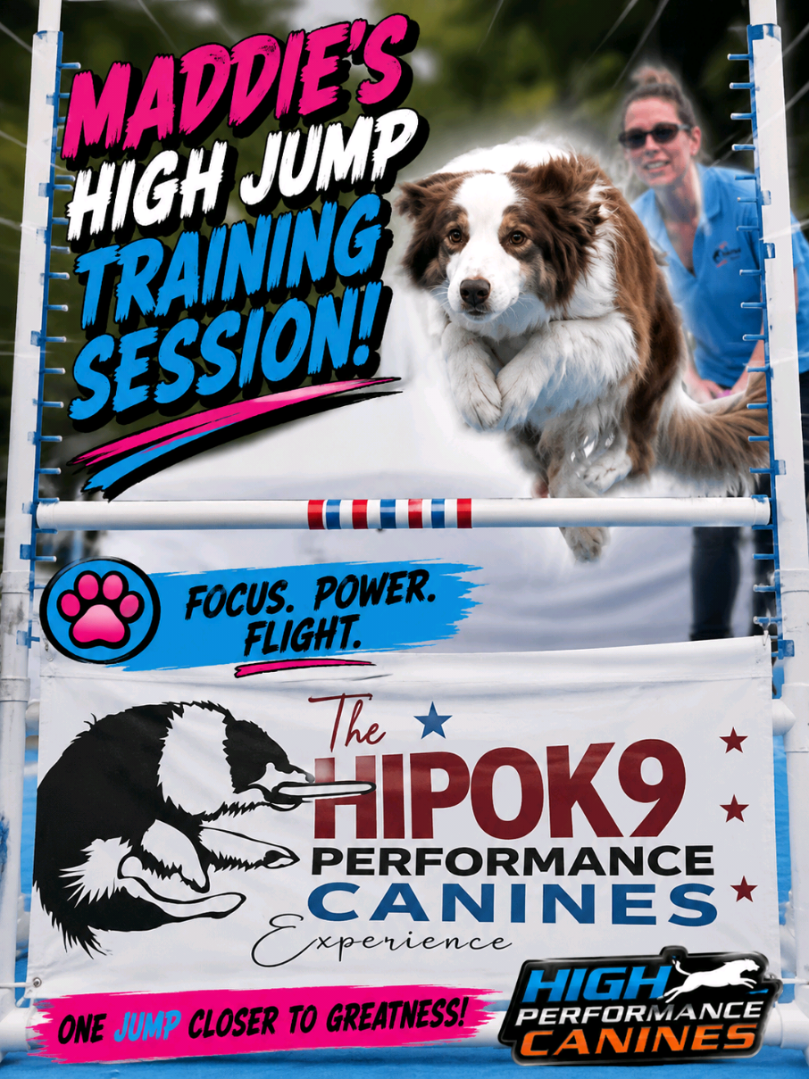 @High Performance Canines