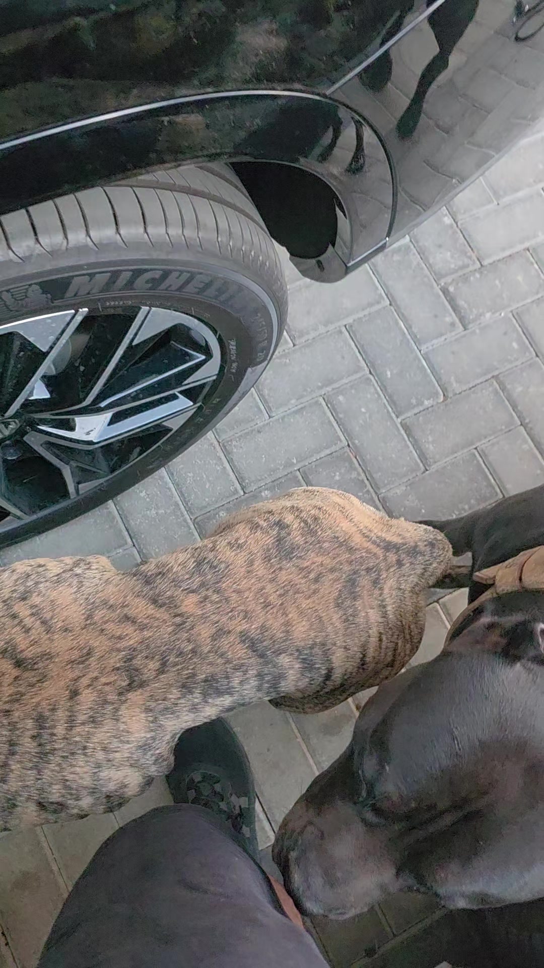 @מידן כחלון מנהיג הלהקה