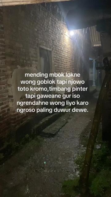 @ternosontek⚡