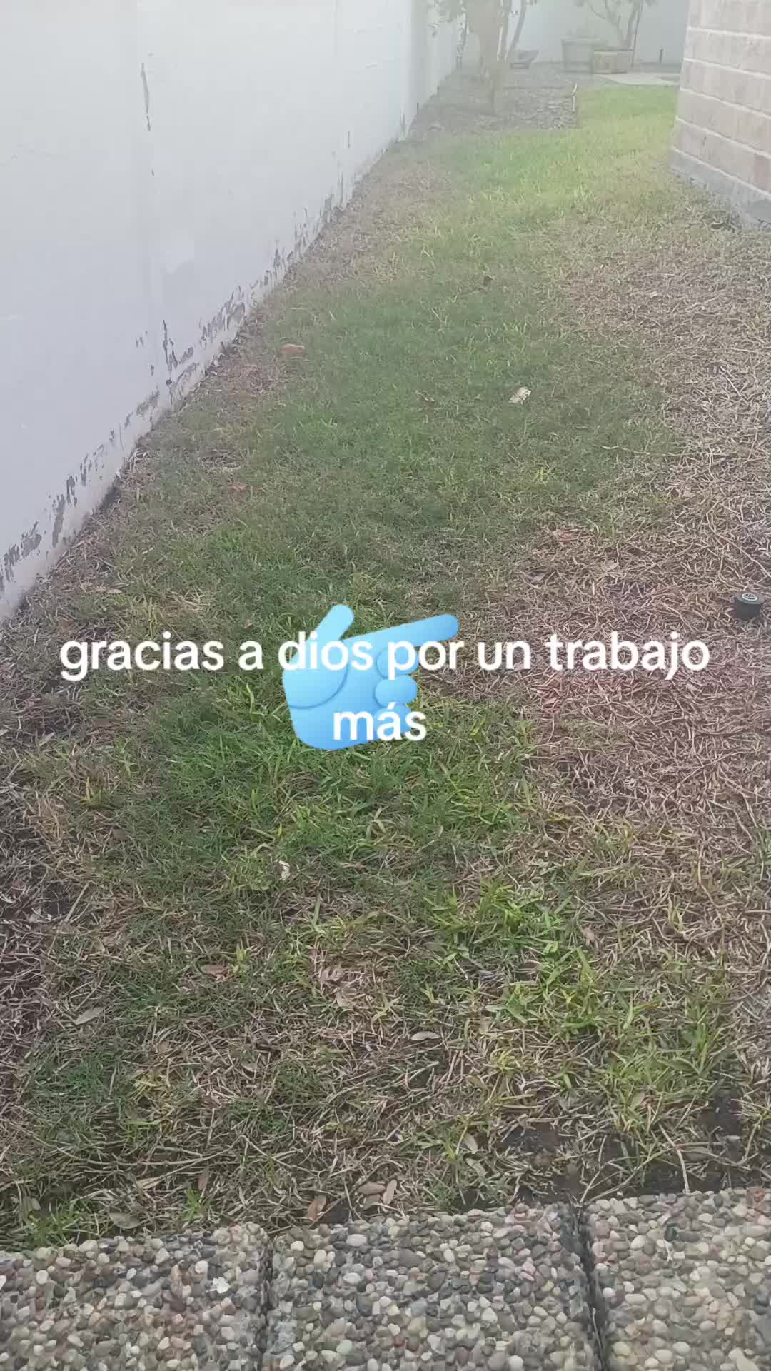 @luna Pérez