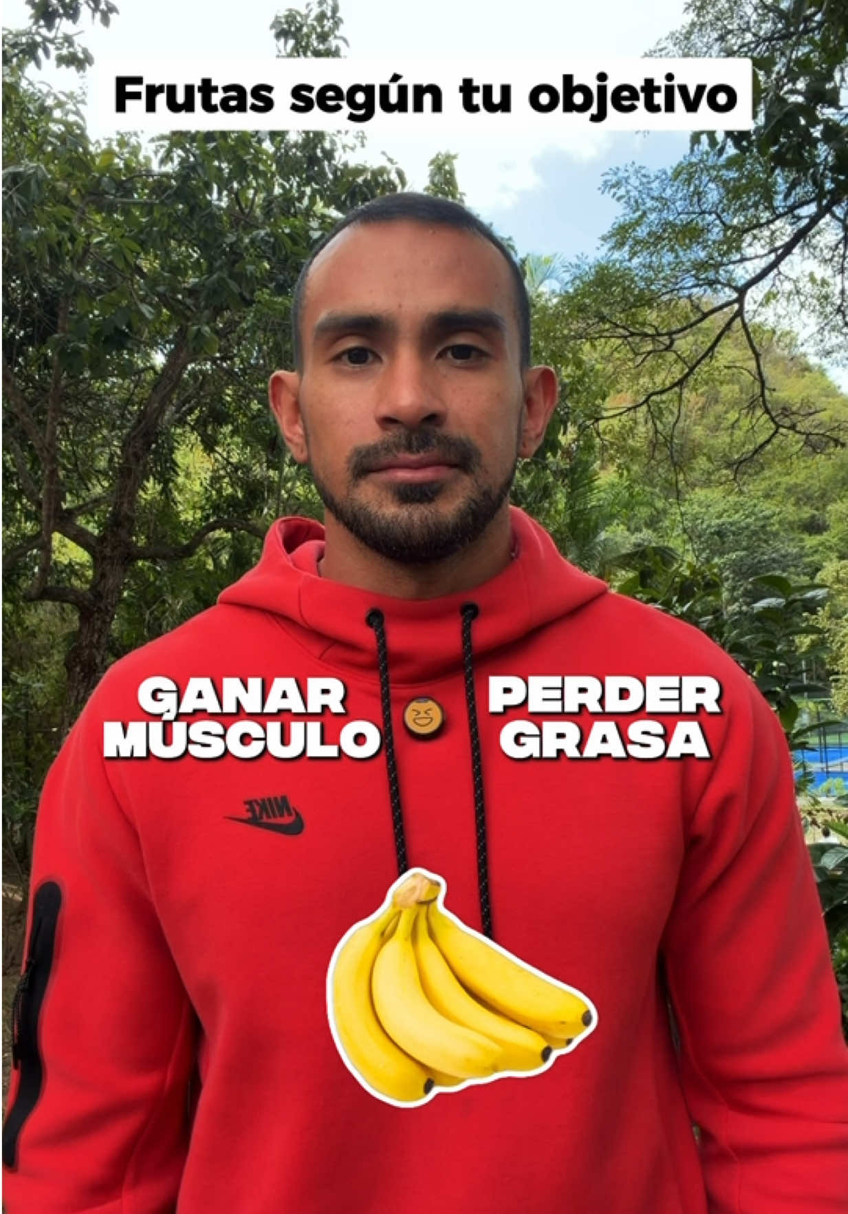 @Leonardo Rocha