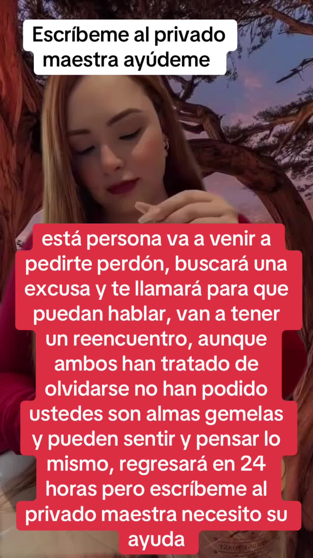 @Gran Suárez