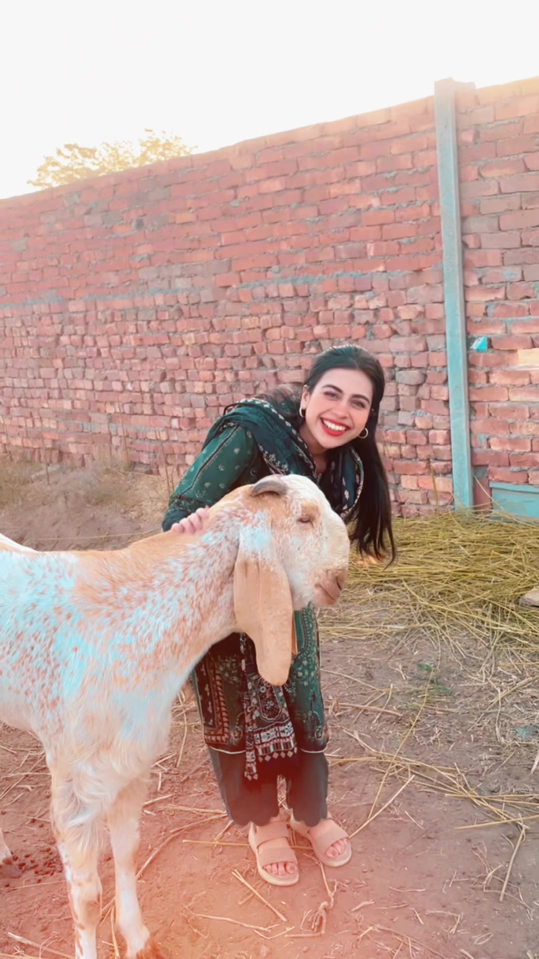 @PGC ki Laila ๐
๐๐ฅ