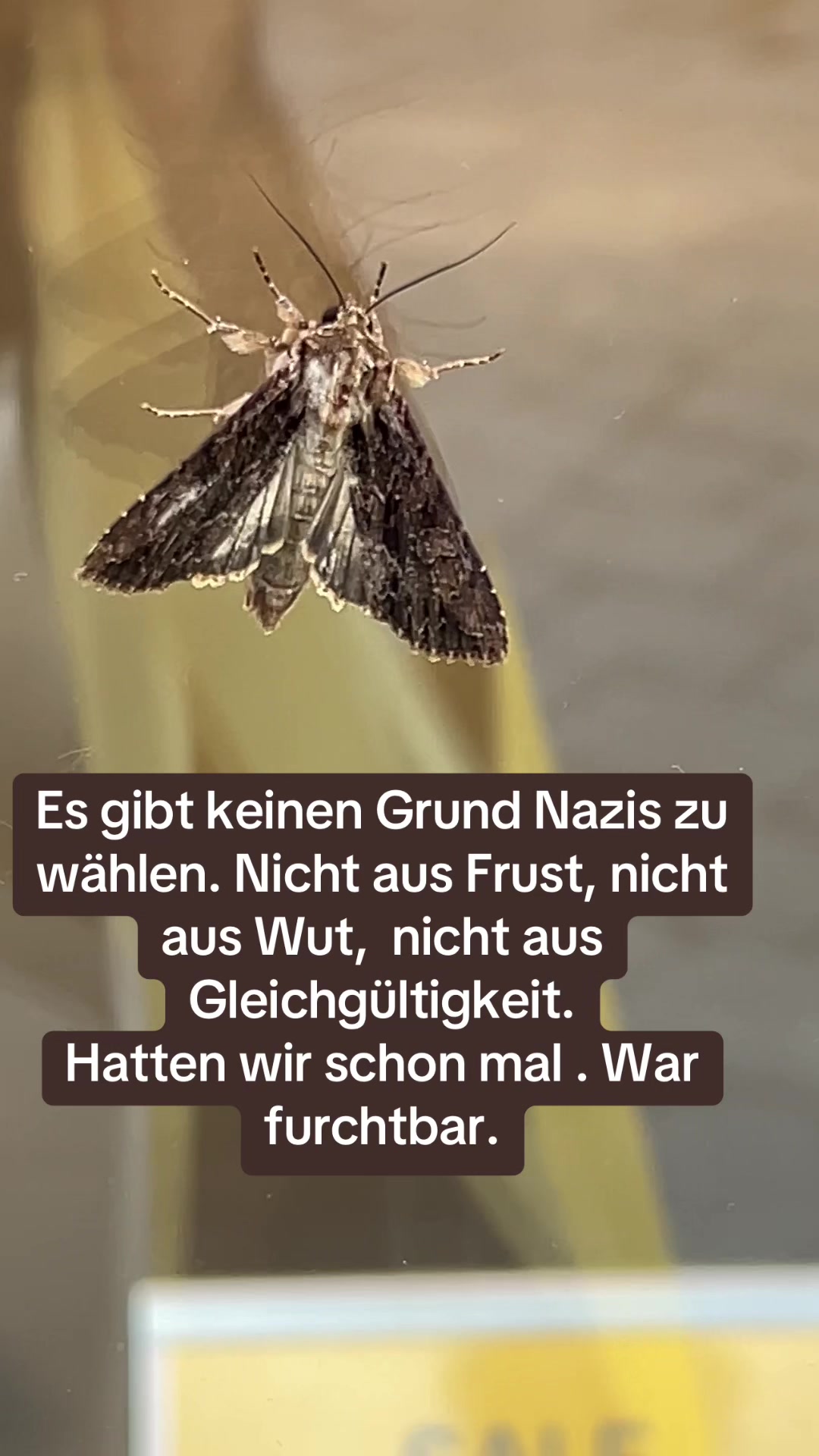 @Contra.AfD