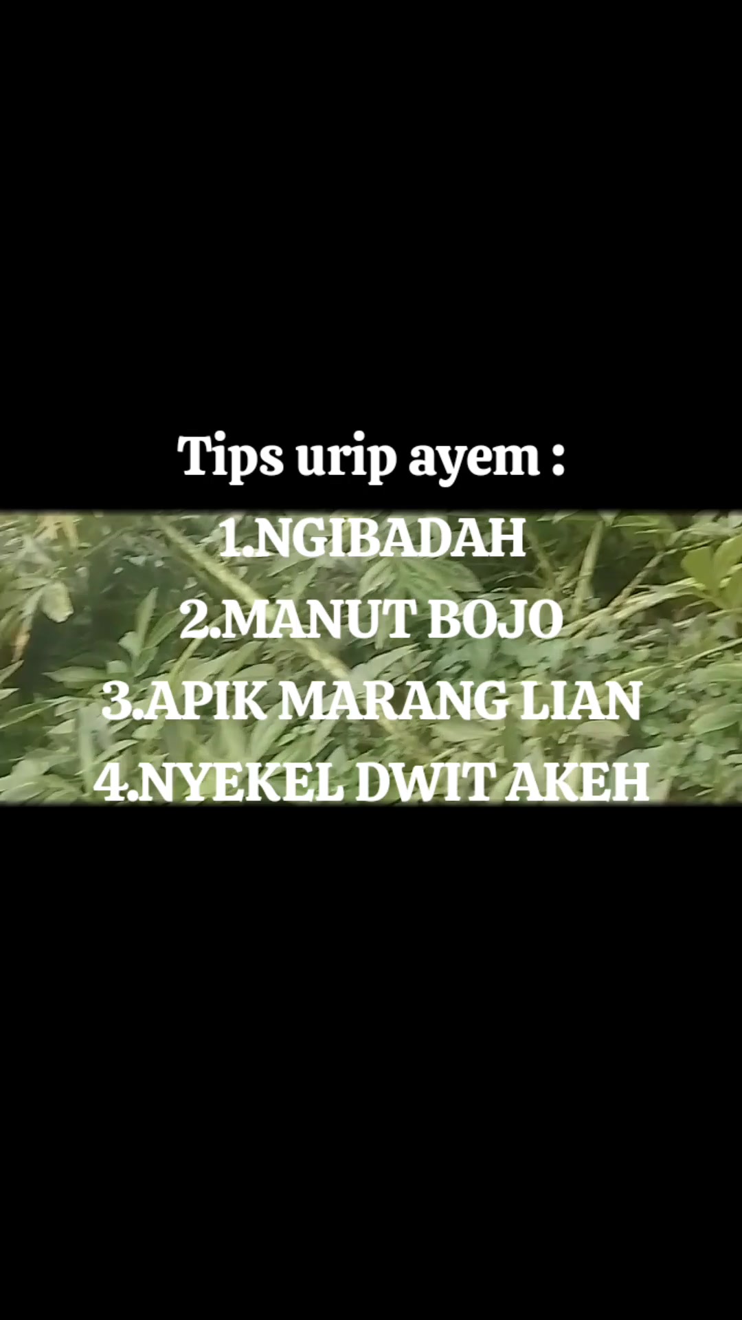 @mujijayaporang