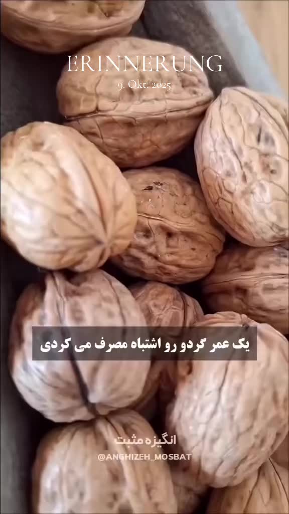 @bavar__kasit__1