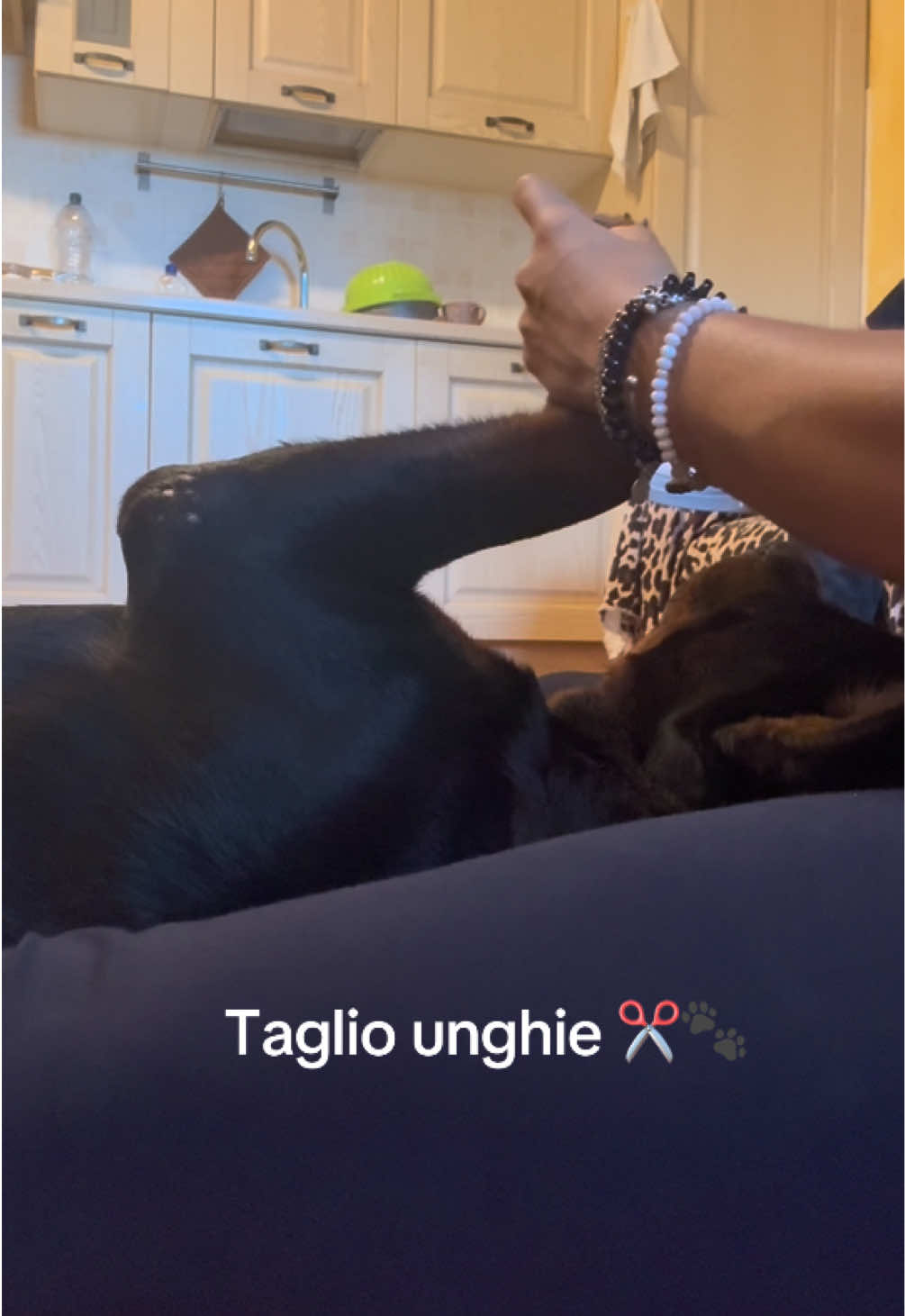 @Le avventure di Thor 🌪️ w ❤️