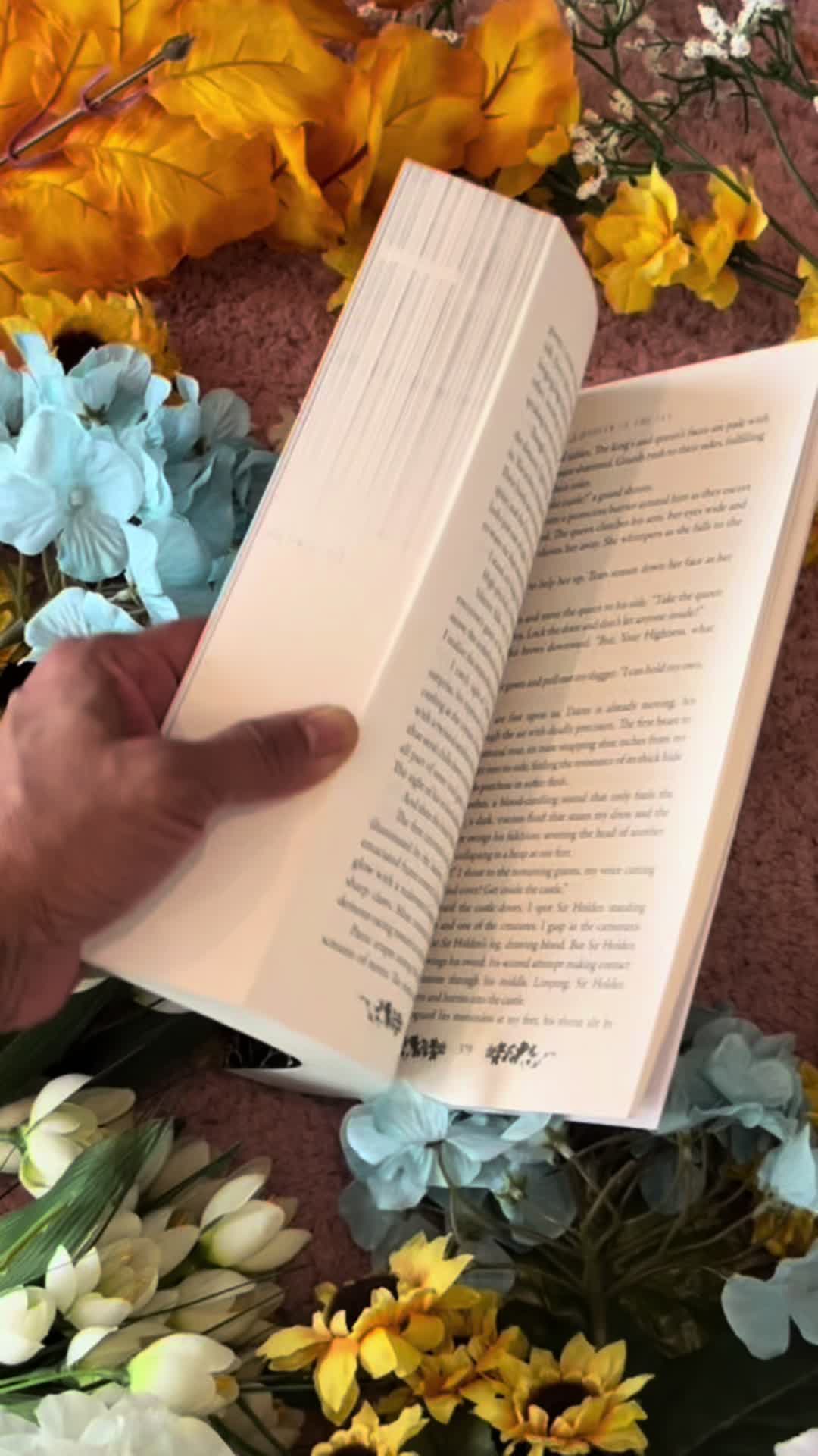 @Dorothy Dreyer | Author
