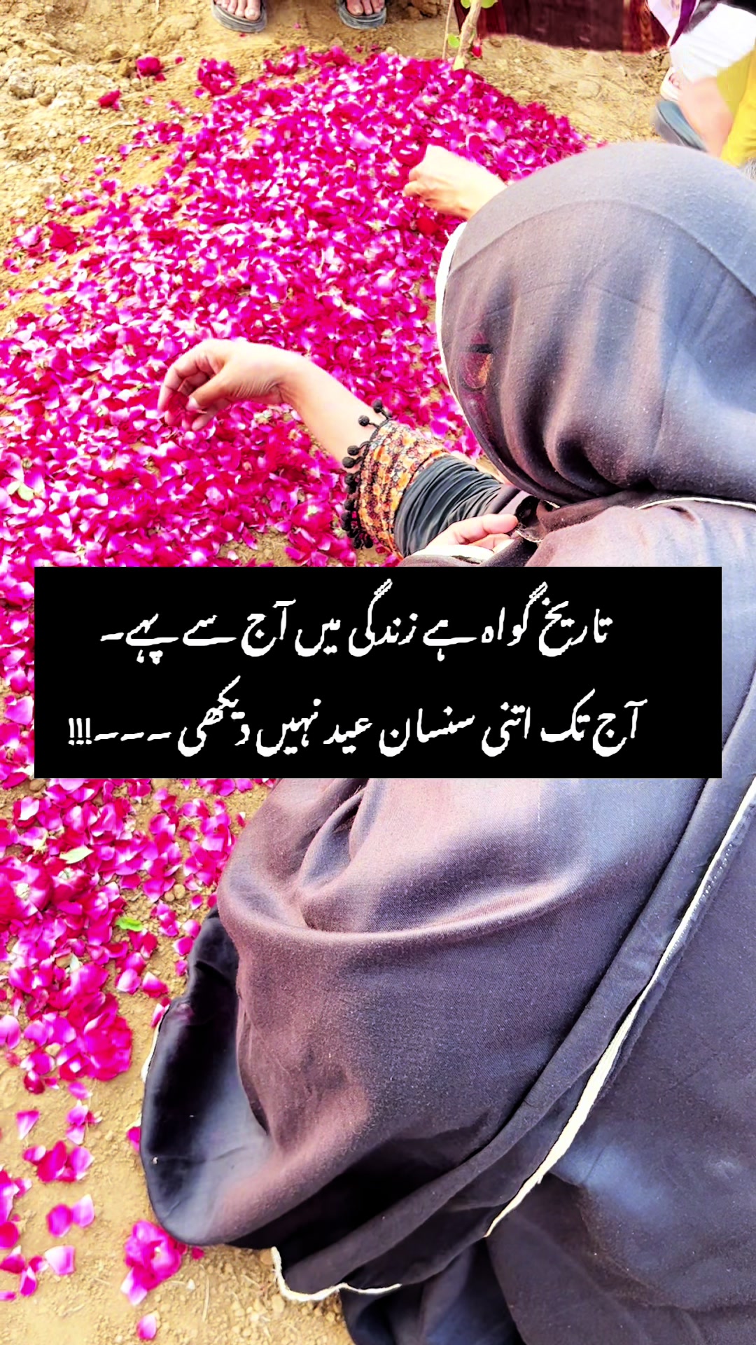 @Shahida