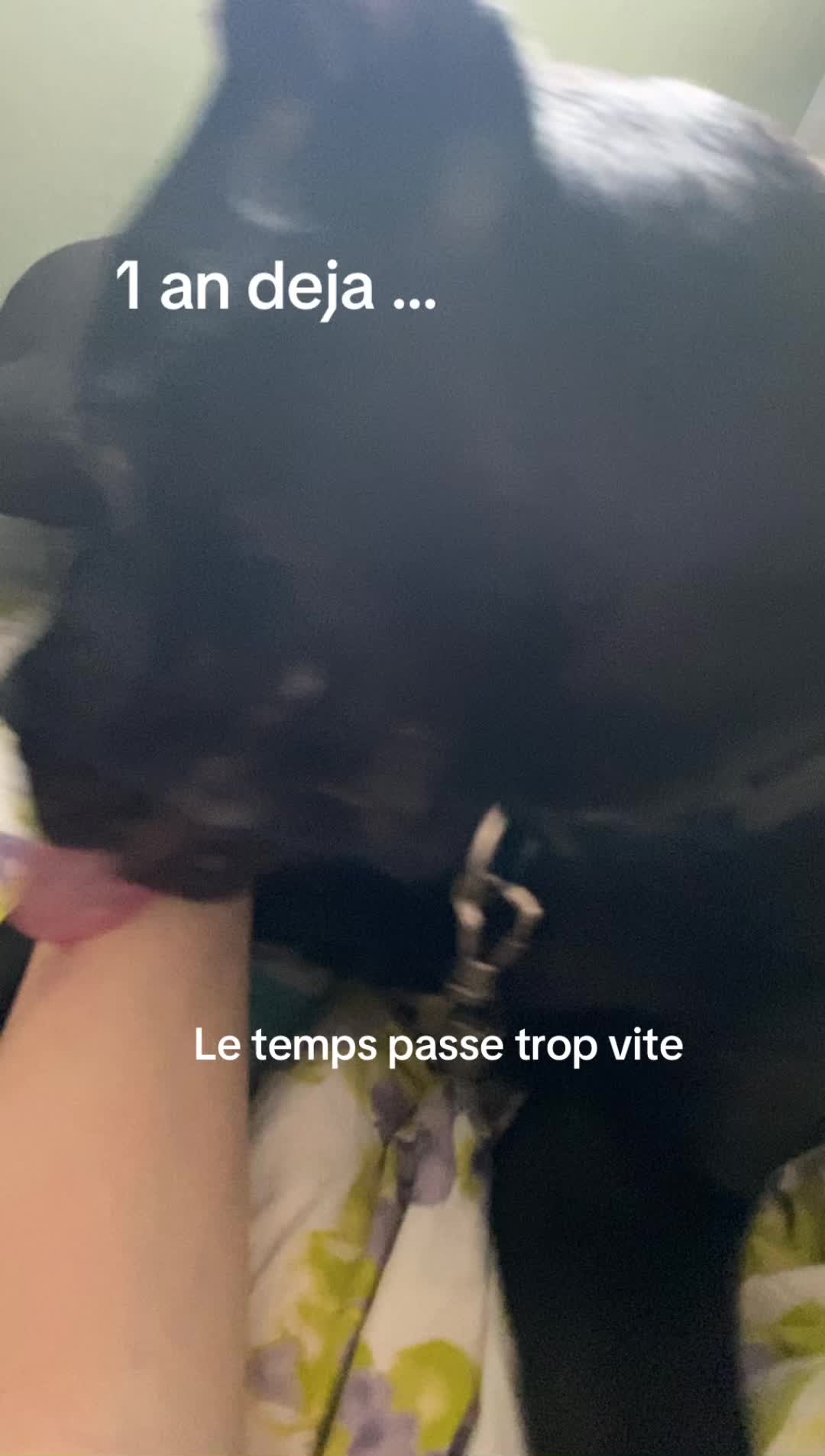 @les.aventures.de.naya